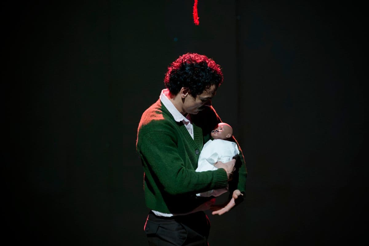 BOTO. Story of a Birth
