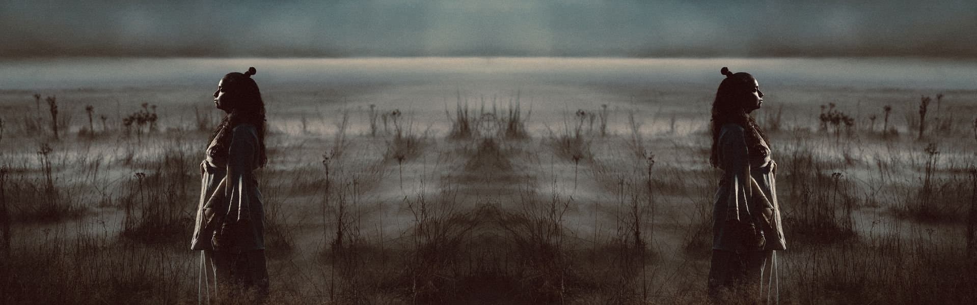 Metamorphosis